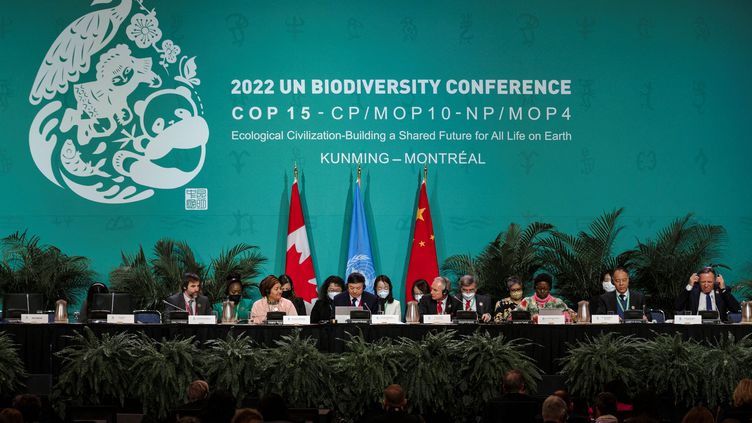 Le Cadre Mondial de la biodiversité de Kunming à Montréal